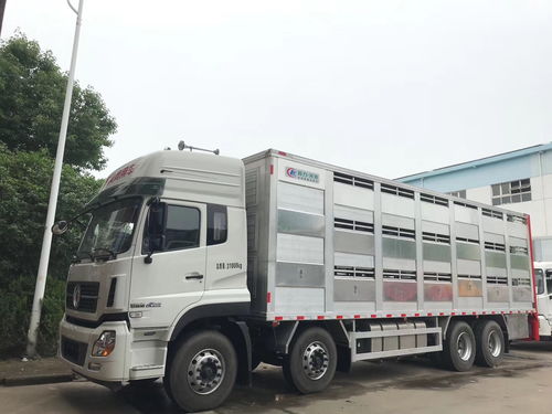 甘孜州生豬運(yùn)輸車 高原畜牧流通的專業(yè)保障